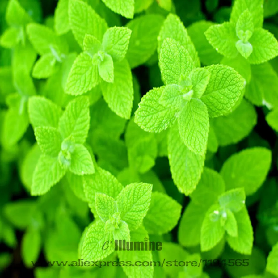 e66600e93901213f0ef7213e56e736d12d2e9586