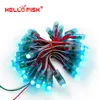 Hola pescado 12mm WS2811 módulo del Pixel del Color DC5V IP68 impermeable para el anuncio 50 unids/lote envío libre ► Foto 2/6
