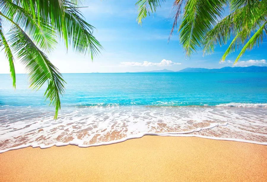Backgrounds for Photo Studio Vinyl Photography Backdrops Seaside