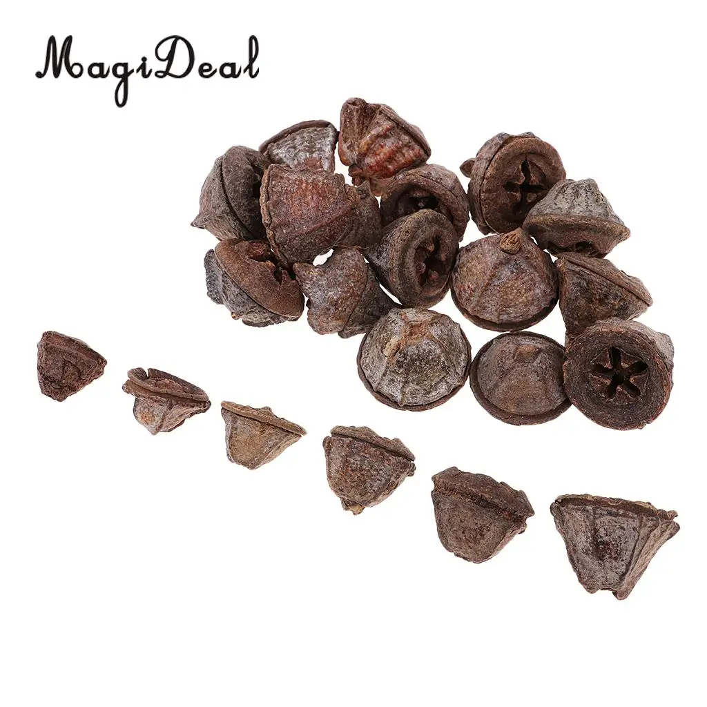 50pcs Rustic Natural Dried Flower Fruit Ornaments for Vase Filler Bowl Displays Wedding Party Christmas Home Table Decoration