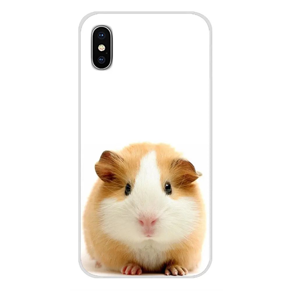 Милые животные морская свинка аксессуары чехлы для телефонов Чехлы Apple iPhone X XR XS MAX