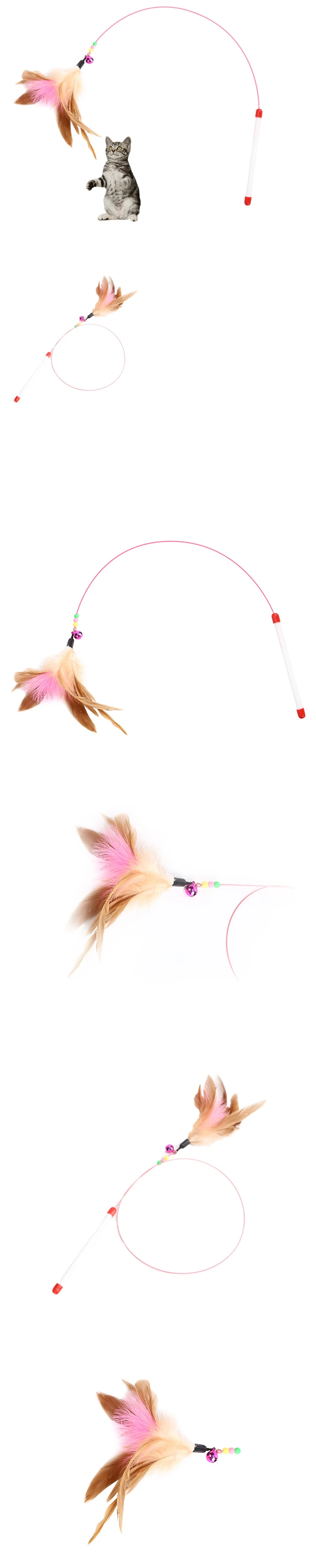 6333494330_1844951790