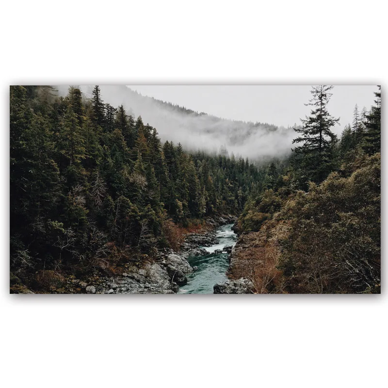 Wall Art Canvas Painting Forest Tree Nature Landscape Posters and Prints Wall Art Pictures For Living Room Cuadros Home Decor - Цвет: 4600429-forest-wild-