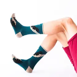 20 пар зимние мужские носки Европа США большой размер 42-46 высокие кросс-Бордер наборы носков оптовая продажа человек
