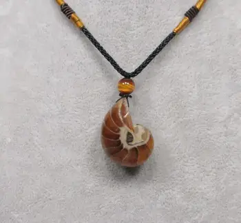 

High quality natural stone fossils pendant Transport bead pendulum Ammonite pendants chakra pendule suspension healing chakras