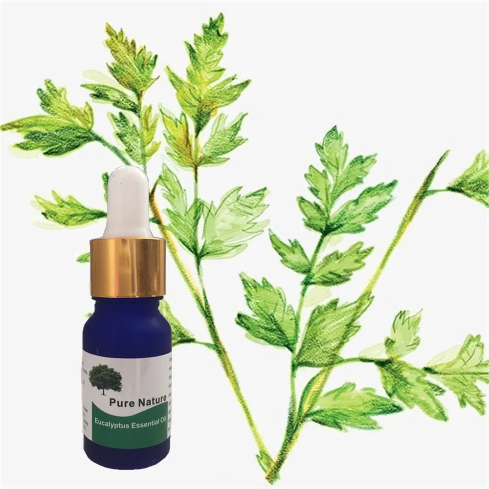 

1pcs eucalyptus Essential Oils for Aromatherapy with Sweety Fragrance Popular Aromatherapy eucalyptus Oil in 10ml Bottle