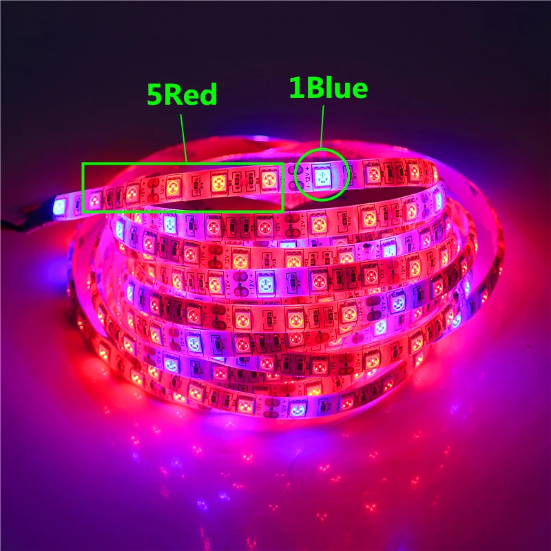 

DC 12V LED Phyto Lamps Full Spectrum LED Strip Light SMD 5050 Chip LED Fitolampy Grow Lights For Greenhouse Hydroponic plant