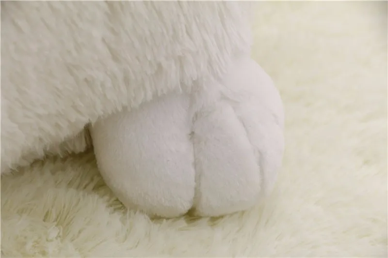 2118660734_960577503