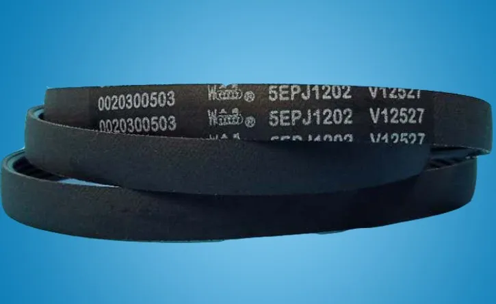 Различные барабанные ремни для стиральной машины/5PJ1202/5EPJ1202/1202 J5/5J1202 Panasonic Haier Samsung