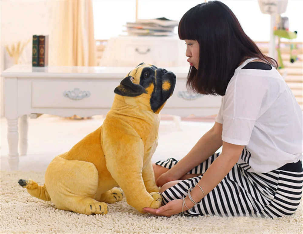 dog14