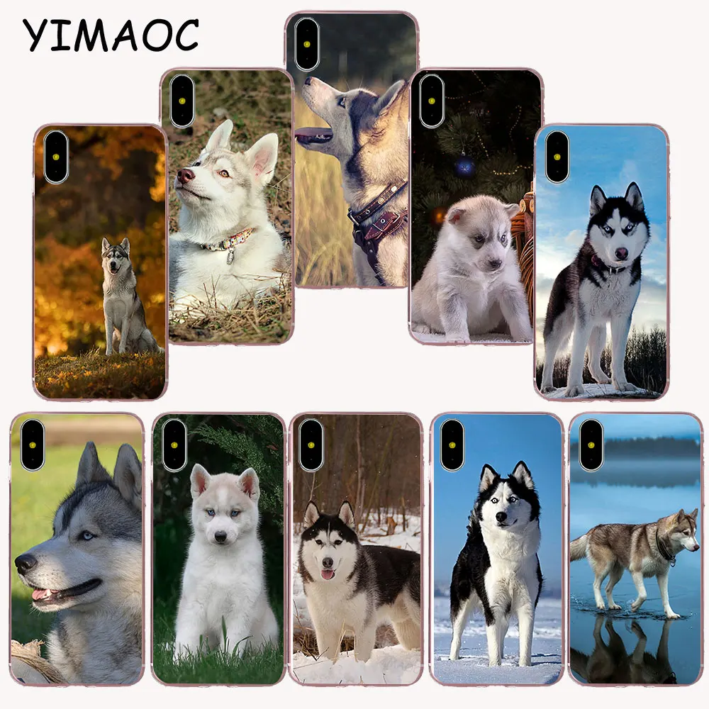 

YIMAOC 122z cute dog Husky Soft TPU Silicone Case for iPhone X r s Xr Xs Max 8 7 6S 6 Plus 5 5s SE