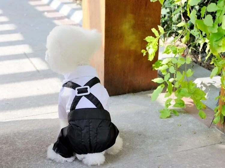Костюм в западном стиле с галстуком-бабочкой собака мелких пород Одежда для щенков комбинезон