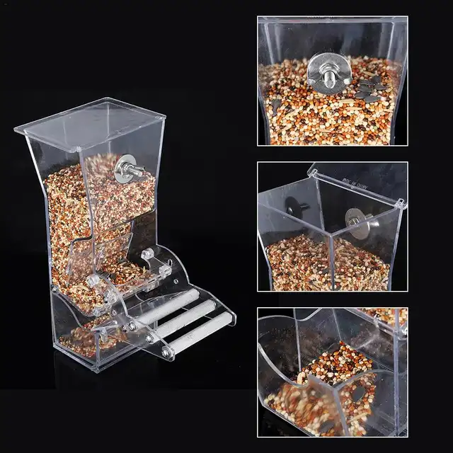 Bird Feeder Parrot Automatic Seed Feeder No Assembly Splash Proof