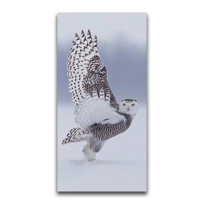 Full Square Diamond embroidery Animal Owl Full Round Diamond mosaic colorful 5D DIY Diamond painting Cross stitch Nighthawk