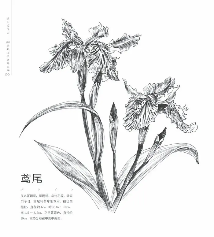 TB2WF_aa4uI.eBjy0FdXXXgbVXa-670877457