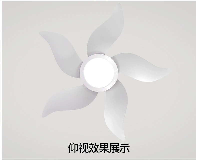 Modern Led 36 Inch Creative Ceiling Fans With Lights Bedroom Child