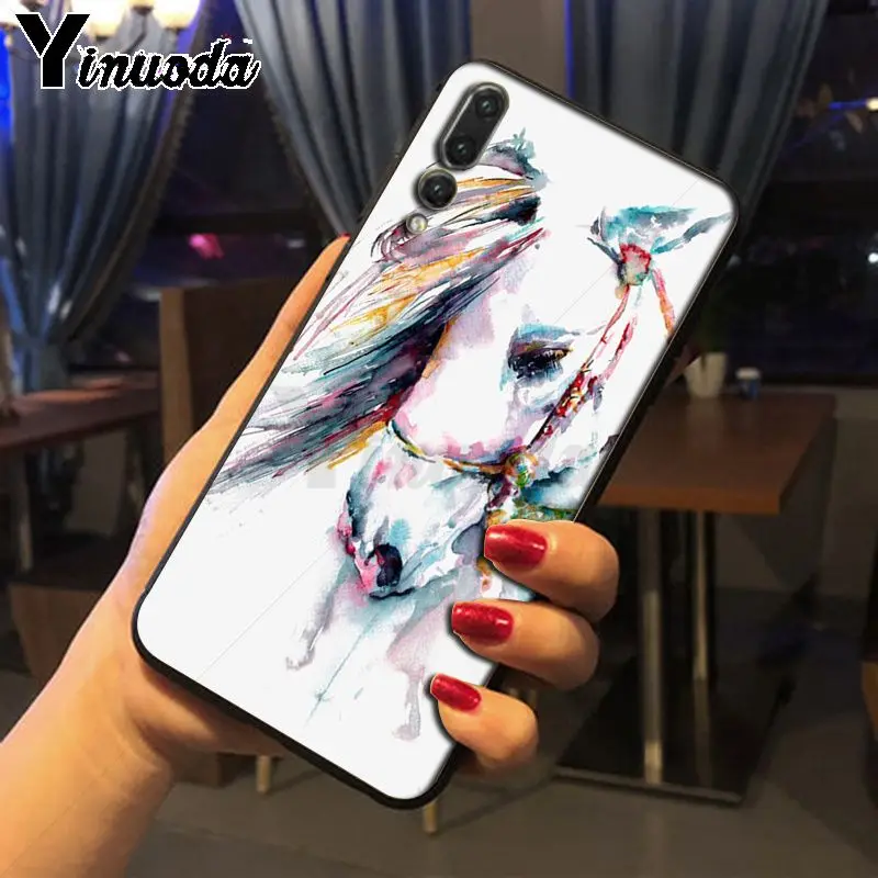 horse animal