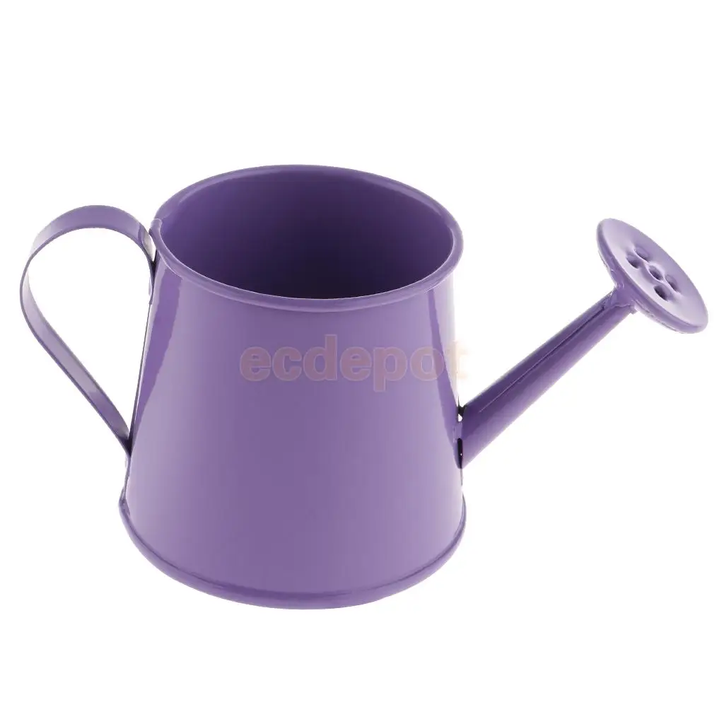 Rustic Vintage Iron Metal Watering Can Flower Bucket Vases Garden Balcony Home Office Decor