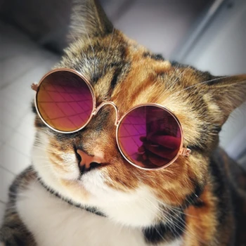 

Hot Sell 1PC Lovely Pet Cat Glasses Dog Glasses Pet Products For Little Dog Cat Eye-wear Dog Sunglasses Photos Pet Accessoires
