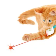 Собака Кот лазерная указка кошка игрушка, Лазерная Игрушка, ошейник для кошки 2 шт./лот