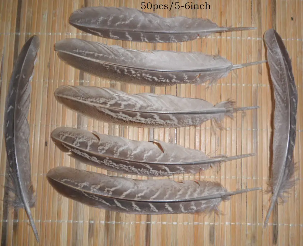 100PCS 10-15cm / 4-6inches beautiful natural pheasant feather