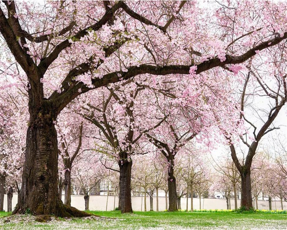 Beibehang Custom Wallpaper First Love Feeling Romantic Cherry Tree