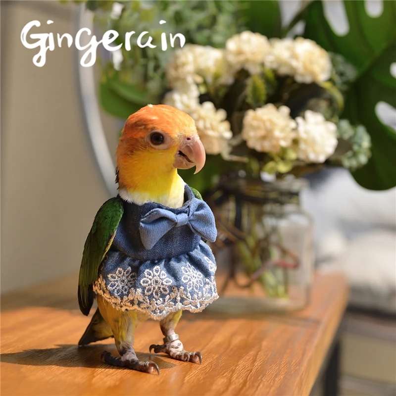 Gingerain одежда с птицами и попугаями оригинальная кружевная юбка пачка ручной