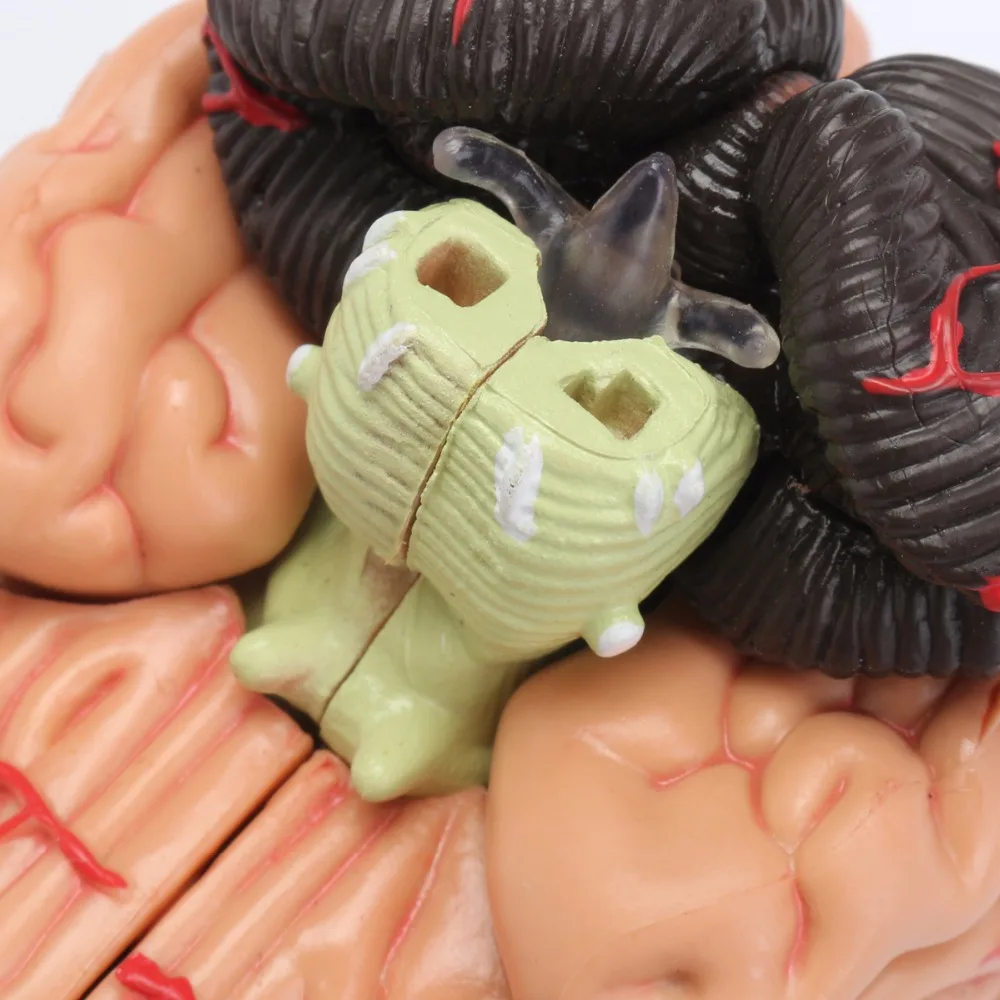 4D анатомических человека, модели мозга анатомии медицинского учебного пособия игрушка Статуи скульптуры медицинской школы Применение