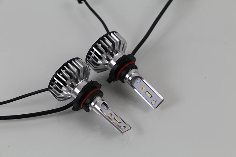 IMG_6559