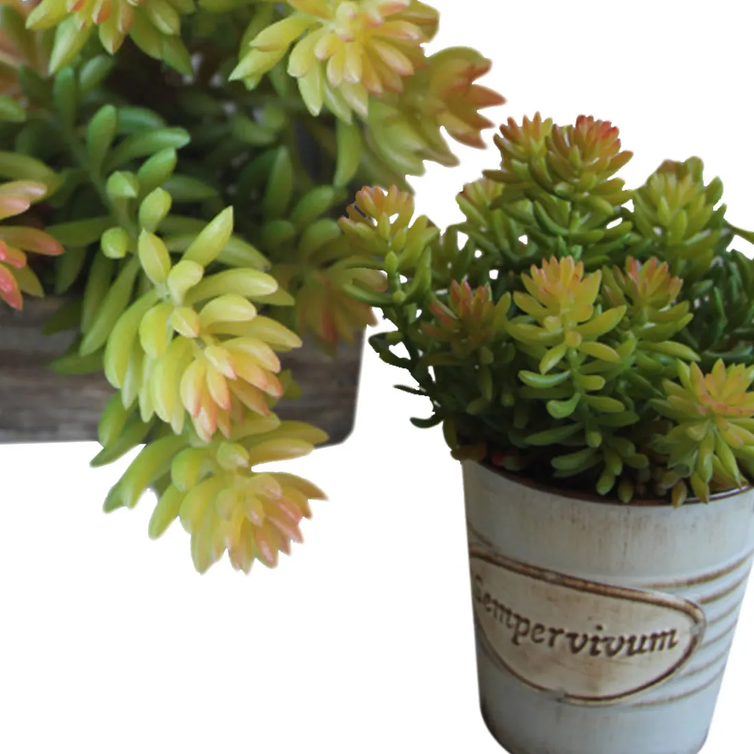 1pcs Artificial Fleshiness Echeveria Succulent Plant Decorative Flower Home Office Balcony Decoration Spring Decorations 1pcs Artificial Fleshiness Echeveria Succulent Plant Decorative Flower Home Office Balcony Decoration Spring Decorations