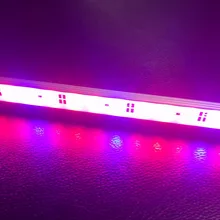 buy led bar grow