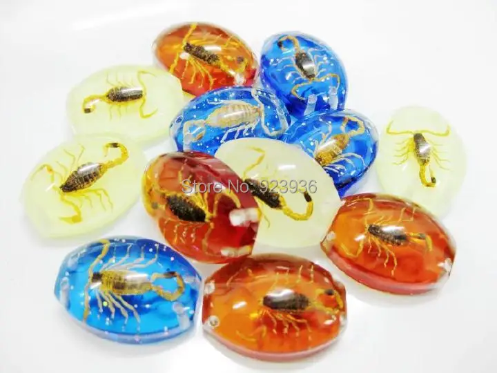 

12 PCS GOLD SCORPION COLORFUL BOTTOM BEAD INSECT COOL FINE TAXIDERMY GIFT