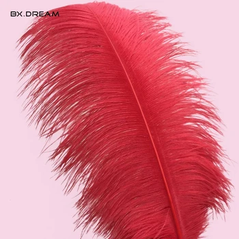 

Free Shipping Wholesale 50pcs14-16 inches (35-40 cm) Red Ostrich Feather DIY Decoration