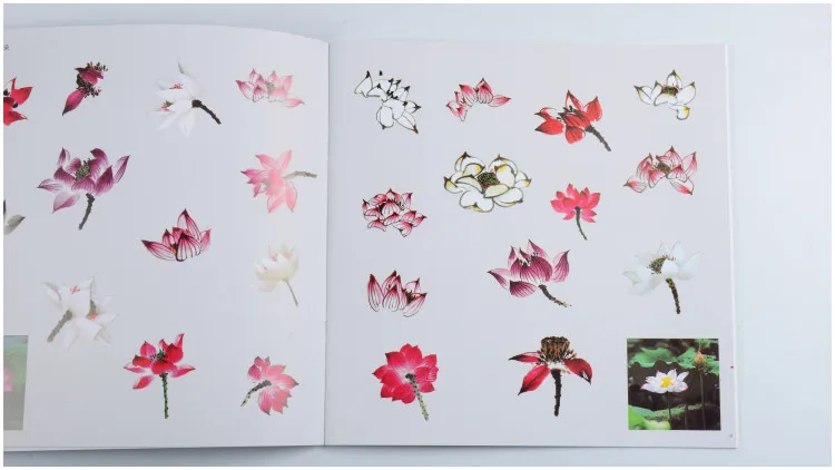 Китайская живопись запись книги от руки техники живописи: lotus 22 страниц