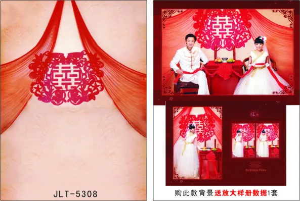 

300cm*300cm Vinyl Custom Photography Backdrops Prop Digital Photo Studio Background  S-5308
