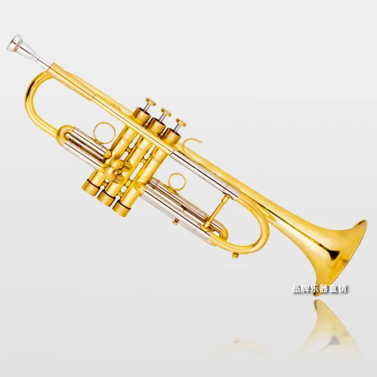 

Professional Heavy trumpet Bb key +case