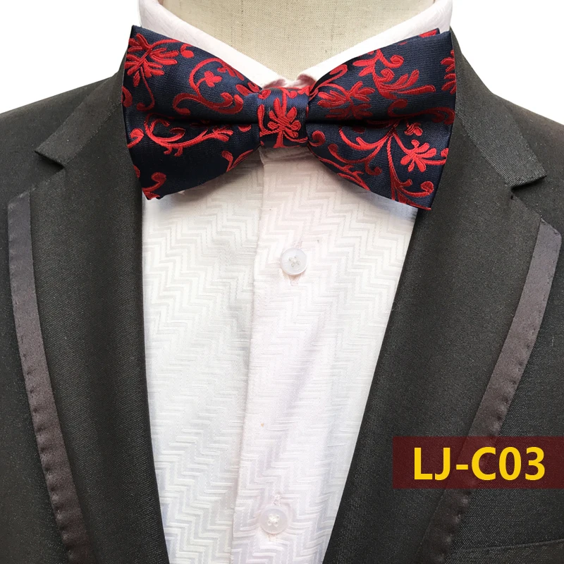 LJ-C03