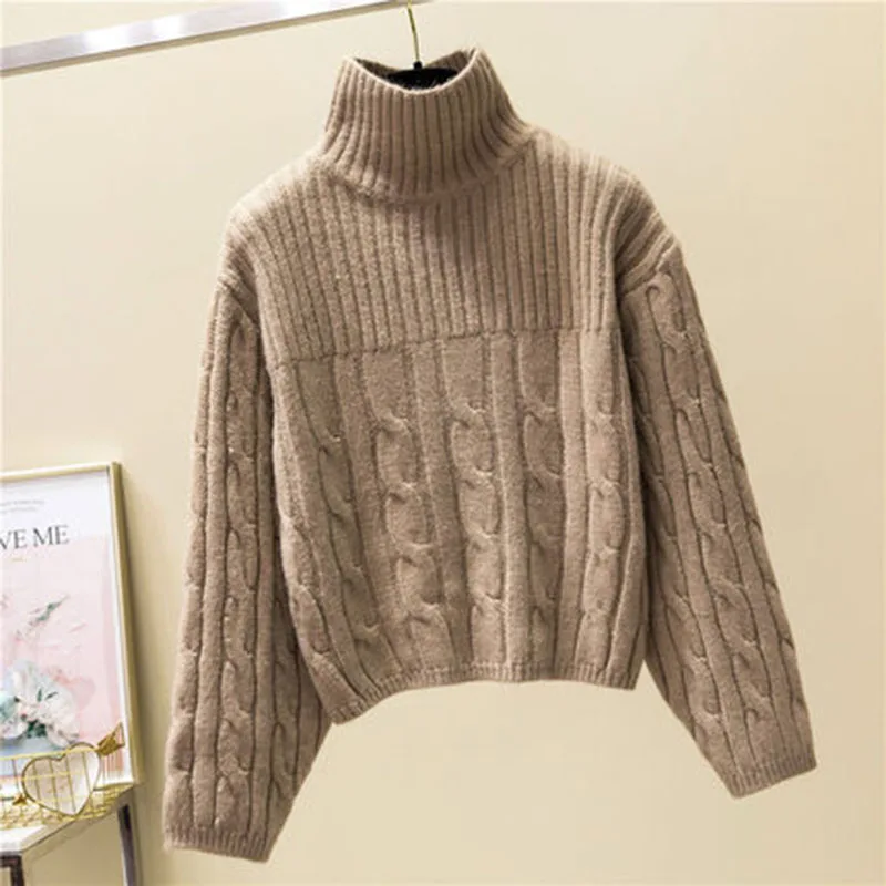 New Korean version Autumn winter Women Knitted Sweaters Pullovers Turtleneck Long Sleeve Loose Solid color Sweater Women