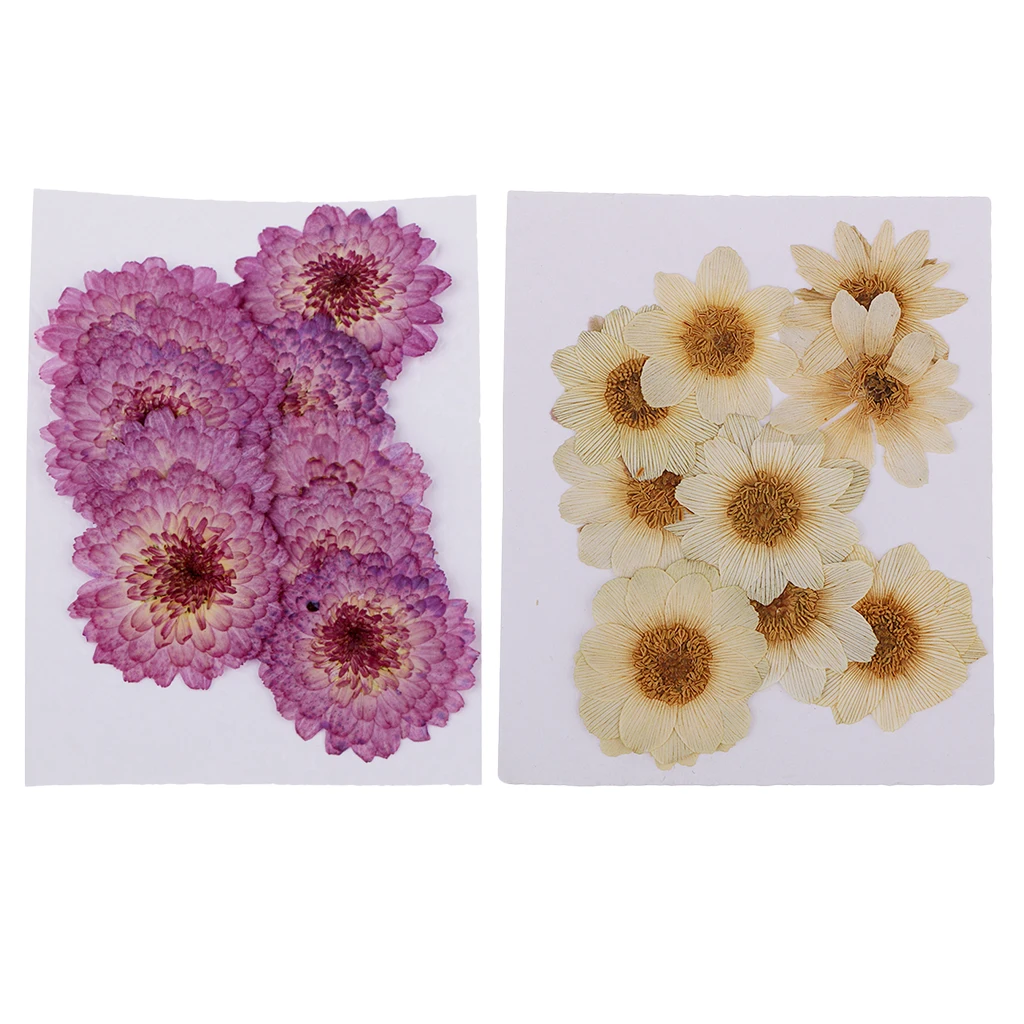

20 Pcs Pressed Dried Flower Herbarium For Resin Pendant DIY Jewelry Making