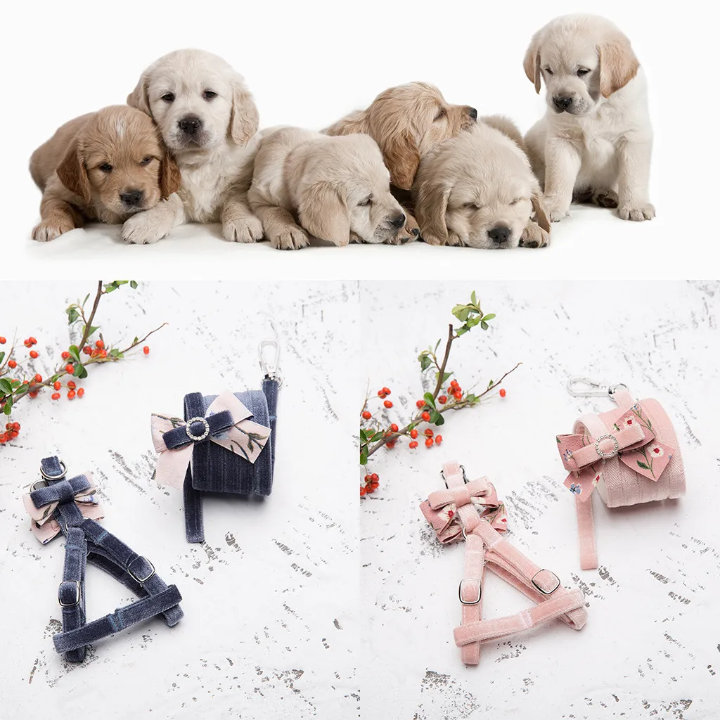 

Quick Release Buckle Pet Dog Collar Pure Colour Cat Dog Tie Chest Strap Belt Soft Comfortable Dog Harness Adjustable Accessories
