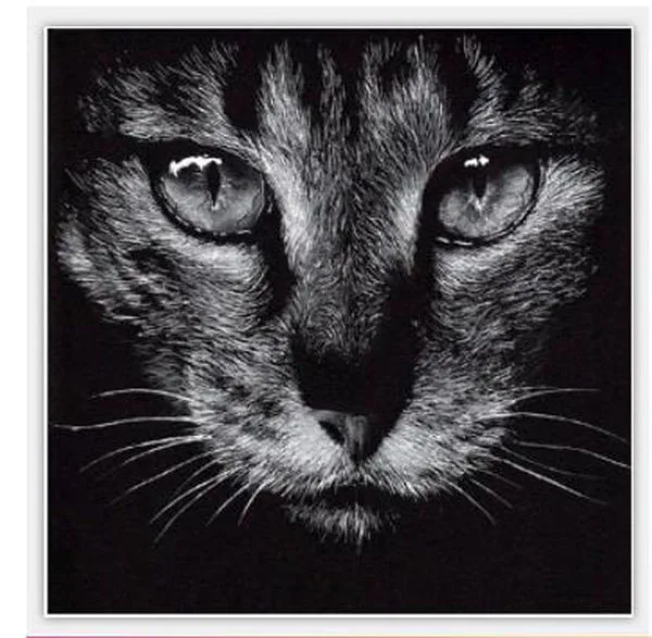 

Cat 5d full diamond painting cross stitch Diamond mozaik painting Diamond Embroidery mosaic paintnig Animals Cats