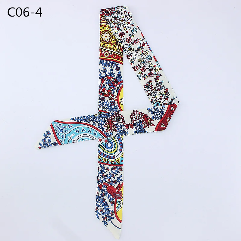 C06 (4)