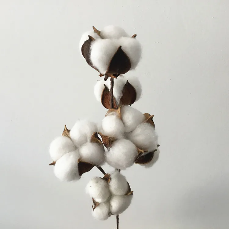 Flone 6 Head Dried Flower Cotton Branch Cotton Long Branch Simulation Cotton Tree Branch Home Wedding Decor Artificial Flowers (4)