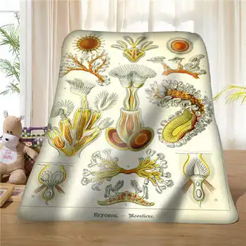 

Custom Haeckel_Trachomedusae (1) Blanket Soft Fleece DIY Your Picture Decoration Bedroom Sofa Multi Size#929-02-003-76