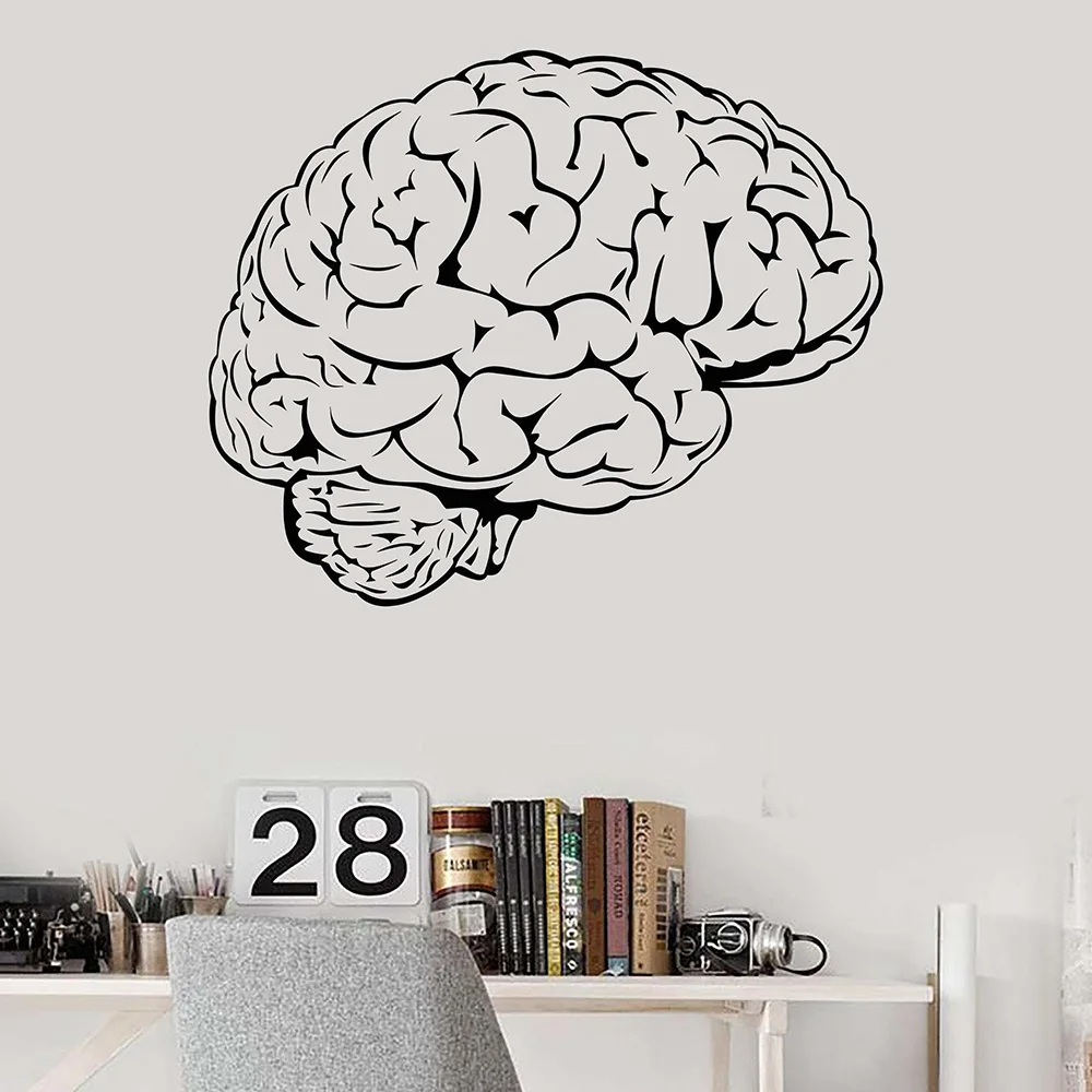 

Brain Mind Anatomy Intellect Science Medicine Doctor Vinyl Wall Decal Home Decor Art Mural Wall Stickers Removable