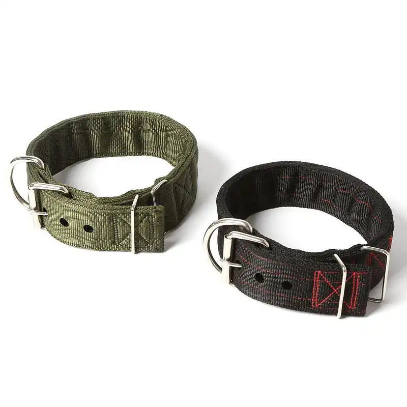 5cm dog collar Clearance