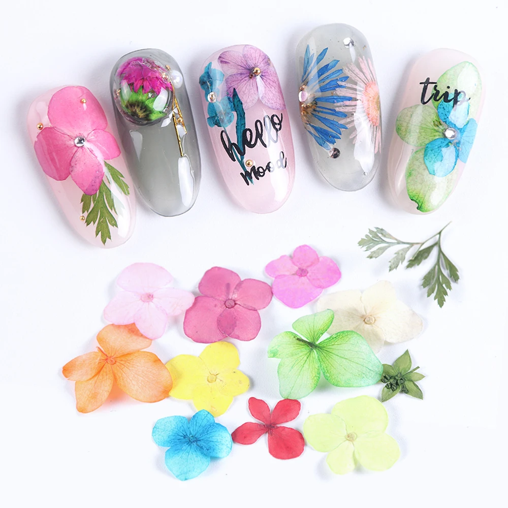 1 чехол, сушеные цветы, дизайн ногтей, летние цветы, лист, 3D украшения, чешуйчатые наклейки на ногти, сделай сам, амулеты, аксессуары для маникюра, LAF01-09