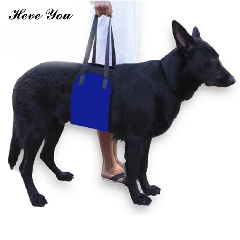 Heve You Harness Running Jogging Pet Dog Protection Belt Adjustable Dog