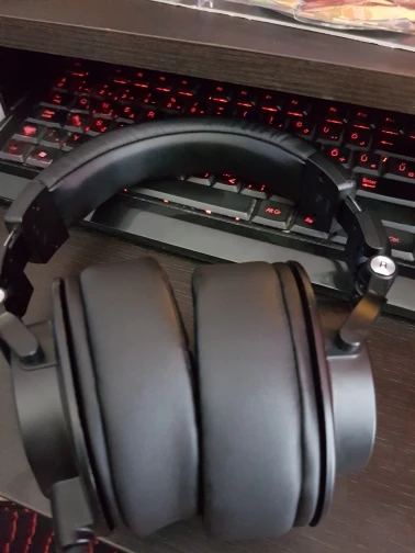 UTB88DEUhHPJXKJkSafSq6yqUXXa4