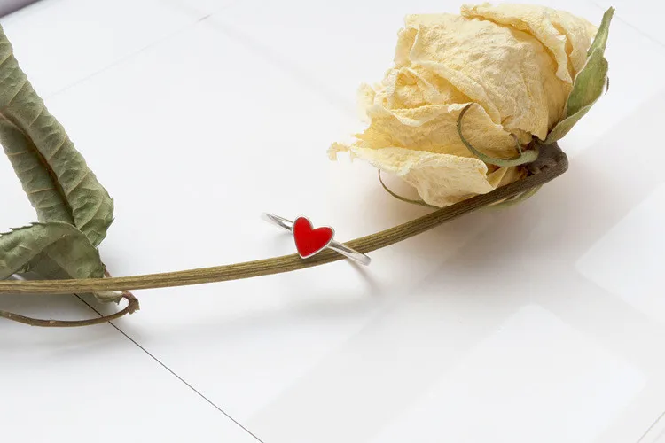 4450672738_1039125567